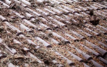 Bentlass roof cleaning companies