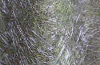 Bentlass fibreglass roof work